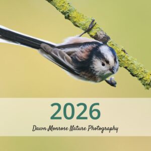 2026 Wildlife Calendar